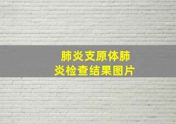 肺炎支原体肺炎检查结果图片