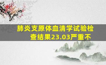 肺炎支原体血清学试验检查结果23.03严重不