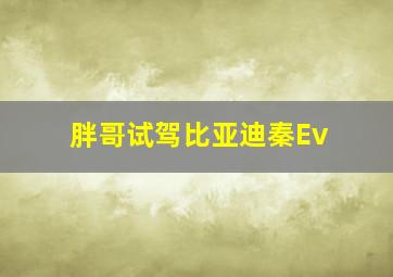 胖哥试驾比亚迪秦Ev