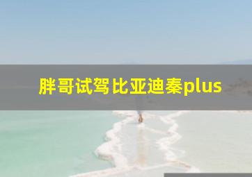 胖哥试驾比亚迪秦plus