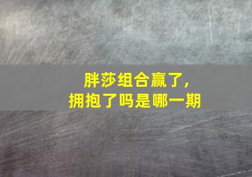 胖莎组合赢了,拥抱了吗是哪一期