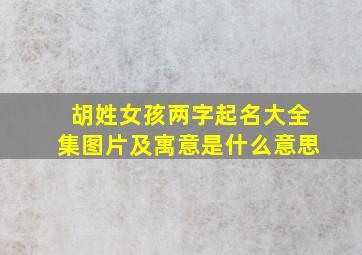 胡姓女孩两字起名大全集图片及寓意是什么意思