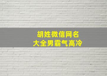 胡姓微信网名大全男霸气高冷