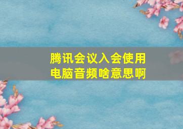 腾讯会议入会使用电脑音频啥意思啊