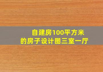 自建房100平方米的房子设计图三室一厅