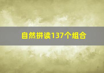 自然拼读137个组合