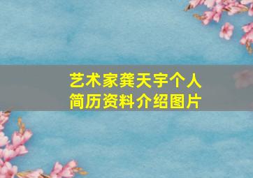 艺术家龚天宇个人简历资料介绍图片