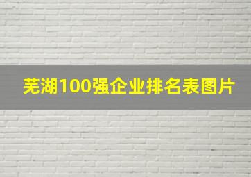 芜湖100强企业排名表图片