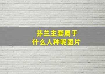 芬兰主要属于什么人种呢图片