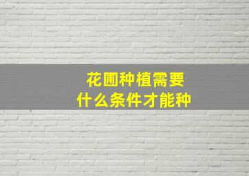 花圃种植需要什么条件才能种