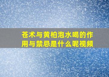 苍术与黄柏泡水喝的作用与禁忌是什么呢视频