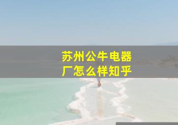 苏州公牛电器厂怎么样知乎