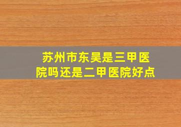 苏州市东吴是三甲医院吗还是二甲医院好点