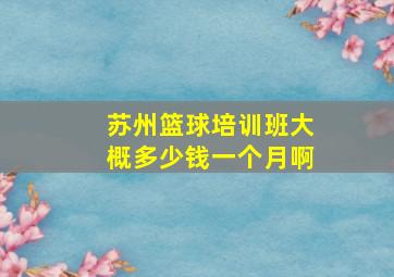 苏州篮球培训班大概多少钱一个月啊