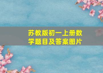 苏教版初一上册数学题目及答案图片