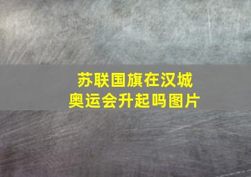 苏联国旗在汉城奥运会升起吗图片