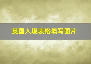 英国入境表格填写图片