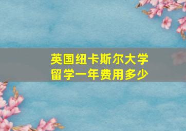 英国纽卡斯尔大学留学一年费用多少