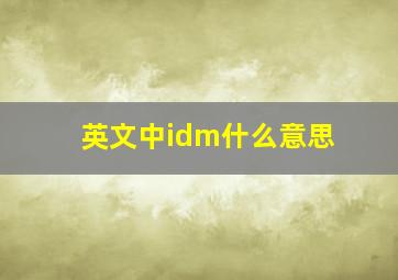 英文中idm什么意思