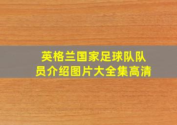 英格兰国家足球队队员介绍图片大全集高清