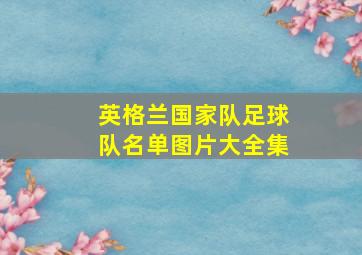 英格兰国家队足球队名单图片大全集