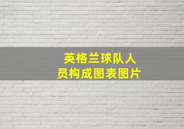 英格兰球队人员构成图表图片