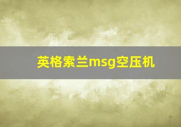 英格索兰msg空压机