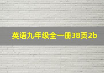 英语九年级全一册38页2b