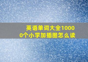 英语单词大全10000个小学加插图怎么读