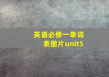 英语必修一单词表图片unit5