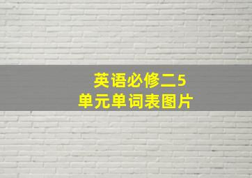 英语必修二5单元单词表图片