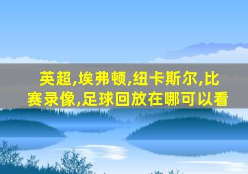 英超,埃弗顿,纽卡斯尔,比赛录像,足球回放在哪可以看