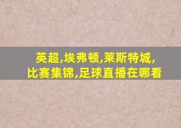 英超,埃弗顿,莱斯特城,比赛集锦,足球直播在哪看