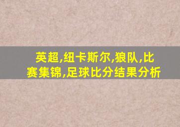 英超,纽卡斯尔,狼队,比赛集锦,足球比分结果分析