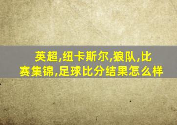 英超,纽卡斯尔,狼队,比赛集锦,足球比分结果怎么样