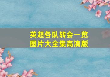 英超各队转会一览图片大全集高清版