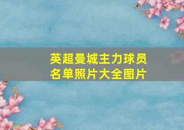 英超曼城主力球员名单照片大全图片