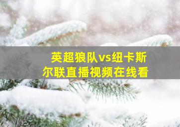 英超狼队vs纽卡斯尔联直播视频在线看