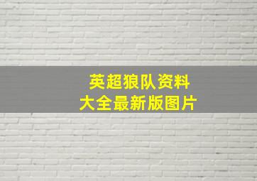 英超狼队资料大全最新版图片