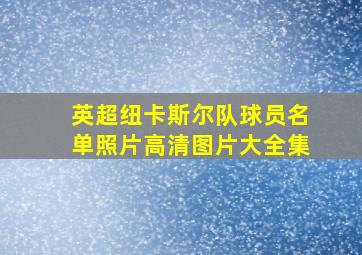 英超纽卡斯尔队球员名单照片高清图片大全集