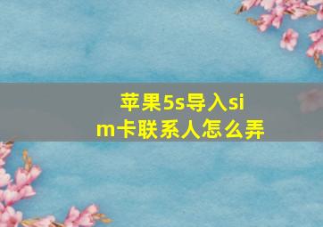 苹果5s导入sim卡联系人怎么弄