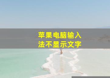 苹果电脑输入法不显示文字