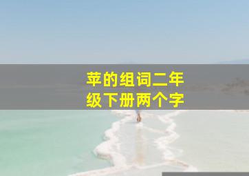 苹的组词二年级下册两个字