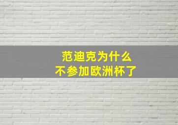 范迪克为什么不参加欧洲杯了