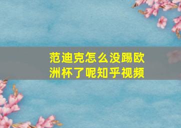 范迪克怎么没踢欧洲杯了呢知乎视频