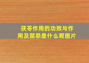 茯苓作用的功效与作用及禁忌是什么呢图片