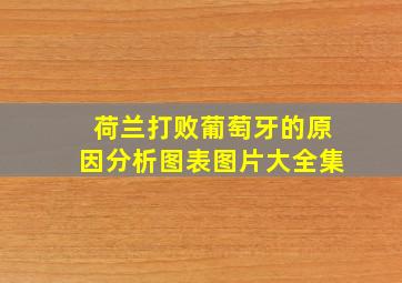 荷兰打败葡萄牙的原因分析图表图片大全集