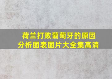 荷兰打败葡萄牙的原因分析图表图片大全集高清