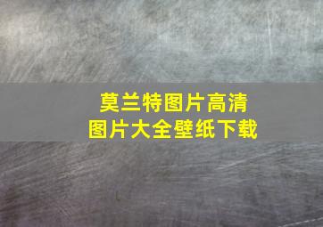 莫兰特图片高清图片大全壁纸下载