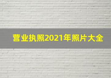 营业执照2021年照片大全